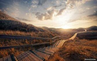 Wallpaper Nature Microsoft Footpaths