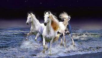 Running Horse HD Wallpaper Inn