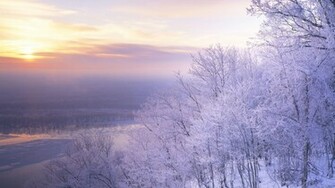 Beautiful Snow Scenery Wallpaper