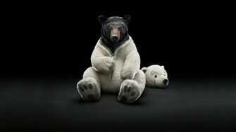 Funny HD Wallpaper 1080p Desktop Image
