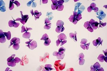 Gorgeous iPhone Plus Wallpaper Preppy