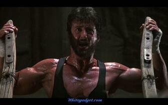 Sylvester Stallone Wallpaper