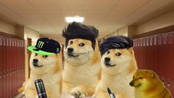 Cheems Meme Wallpaper Backiee