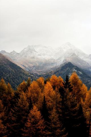 Mountain iPhone Wallpaper Fall That Ll
