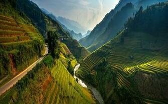 Mist River Green Trees Spring Landscape Nature Px