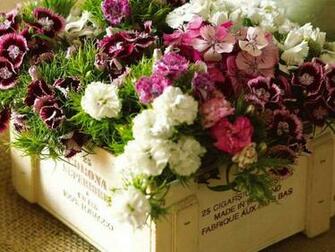 Blooming Cigar Box Wallpaper