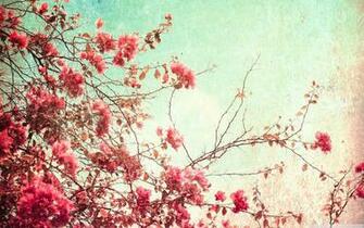 Vintage Spring Desktop Background Full HD 1080p For Pc