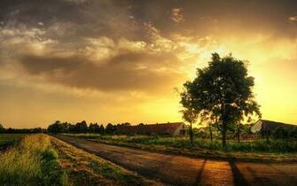 Wallpaper