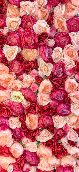 Hipster iPhone Wallpaper