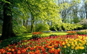 Spring Desktop Wallpaper Widescreen