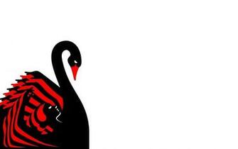 Black Swan Poster Wallpaper