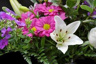 Resolution Pink And White Flowers Desktop Laptop Wallpaper