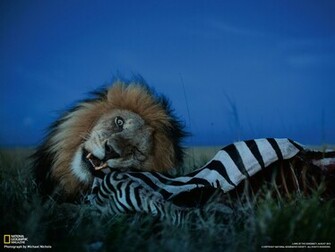 Photography Desktop Wallpaper National Geographic Magazine
