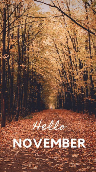 Fall Wallpaper For Phone