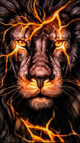 Lion Art Wallpaper On