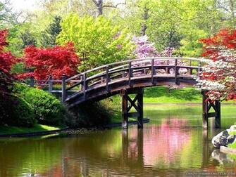 Trees Spring Scene Wallpaper Pixel Nature HD