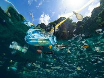 Saving Our Oceans Girls In Science Sdgs International Platform