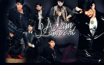 Adam Wallpaper Lambert