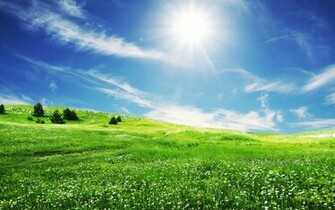 Grasslands Wallpaper Most Beautiful Places In The