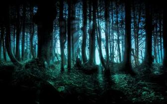 Fantasy Tree Forest Wallpaper Full HD