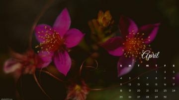 April Calendar HD Wallpaper