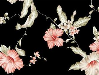 Black Vintage Flower Wallpaper At Wallpaperbro