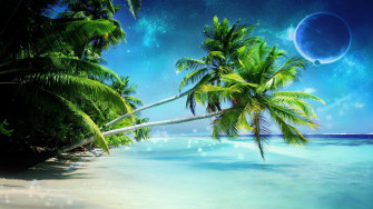 Palm Tree Beach Wallpaper