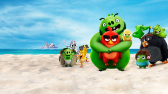 The Angry Birds Movie HD Movies 4k Wallpaper Image