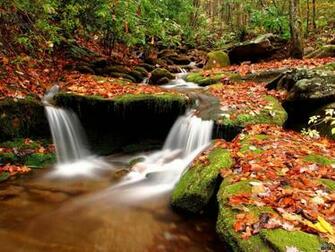 Nature 3d Wallpaper Desktop Background