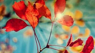 Galaxy S4 Super Beautiful Full HD Official Wallpaper