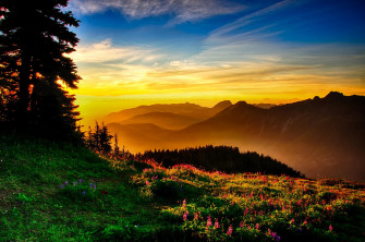 Wallpaper HD Windows Nature