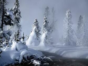 Wallpaper Winter Scenery