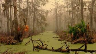 Bayou Sunset Wallpaper At Wallpaperbro