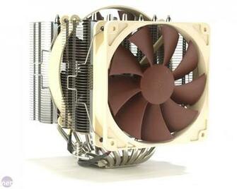 Best Noctua Wallpaper
