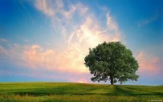 Wallpaper Time Landscape Index