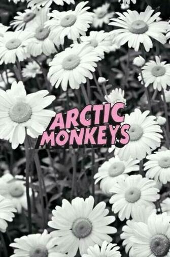 Wallpaper Arctic Monkeys