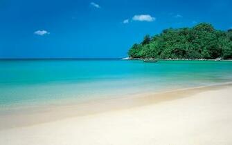 Green Tropic Island Beach Background Wallpaper