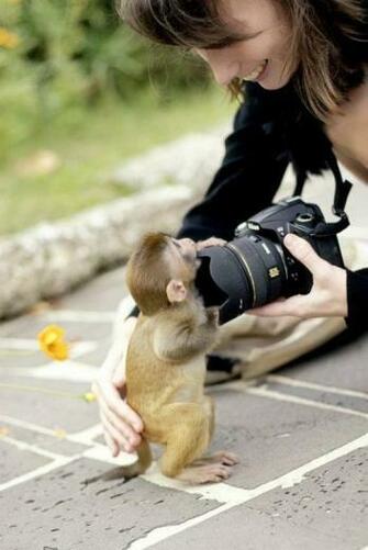 Cute You Ll Find The Best Animal Pictures Puppy