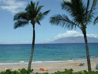 Click On Set As Wallpaper Or Background Polo Beach Club Wailea