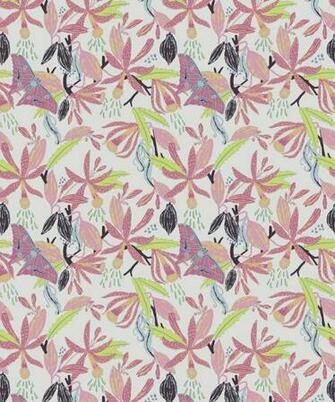 Vanilla Moth Fresh Motif Wallpaper Colorful Fun Milton King