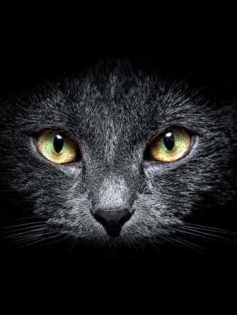 Dark iPad Wallpaper