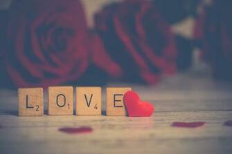 Daily Devotion What S Love Got To Do With It Steemit