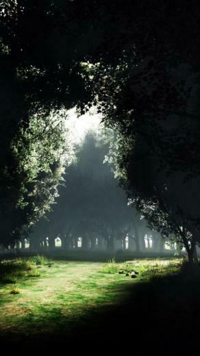 Sun Light Between Dark Forest iPhone Wallpaper