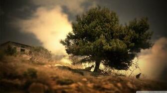 Oak Tree Wallpaper