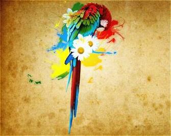 Tropical Parrot Wallpaper By Klg501