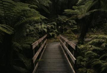 Moody Pictures Image