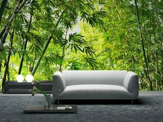 Bamboo Forest Wallpaper Murals Wall Tropical S