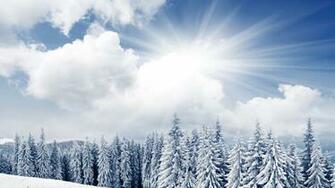 Amazing Winter