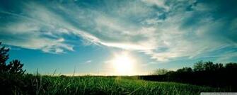 Sunny Day Wallpaper