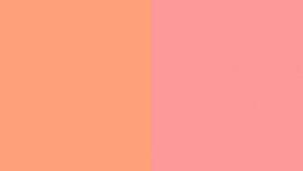 Light Salmon And Pink Two Color Background